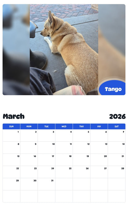 November 2025 - October 2026 Tango - Pawidols Pet Calendar