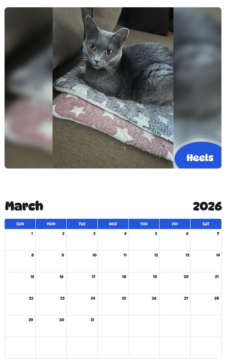 November 2025 - October 2026 Heels - Pawidols Pet Calendar