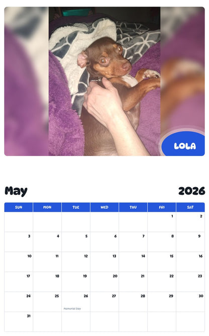 2026 - 2027 LOLA - Pawidols Pet Calendar