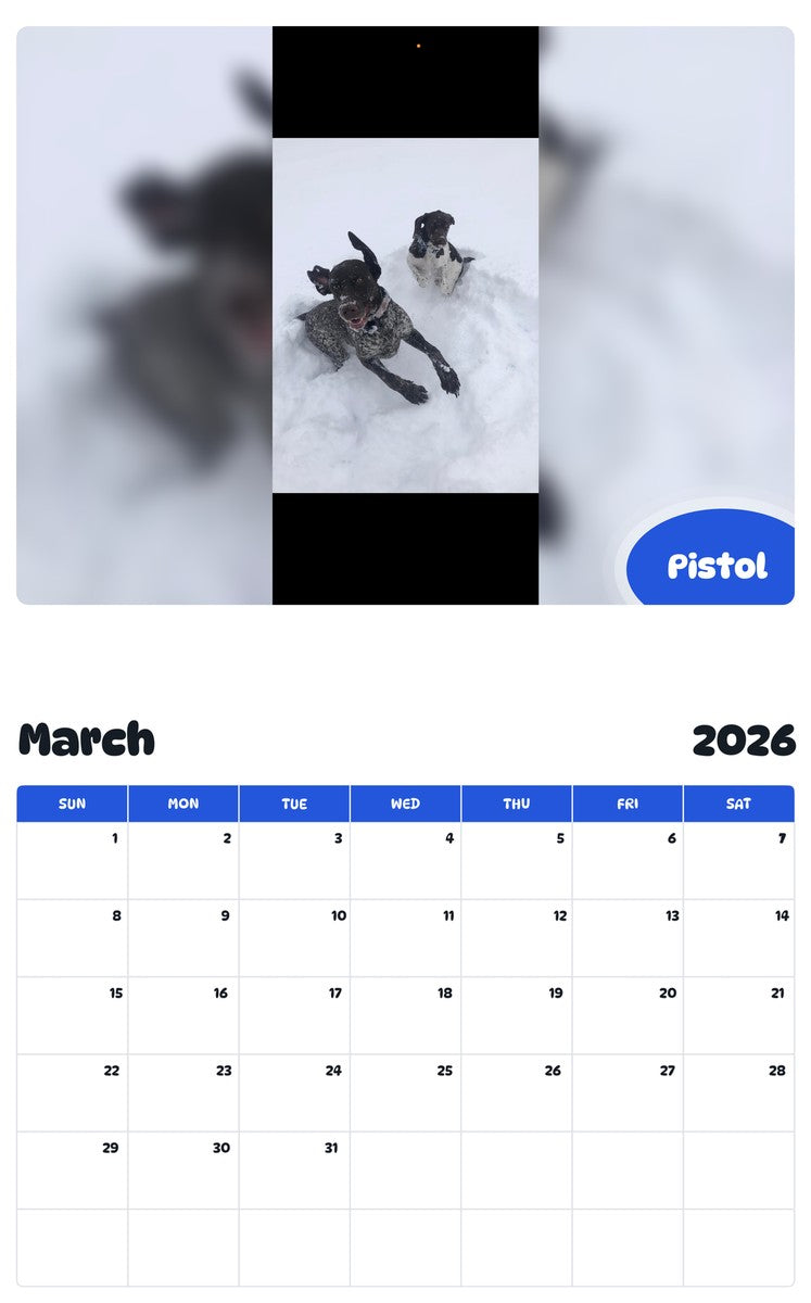 November 2025 - October 2026 Pistol - Pawidols Pet Calendar