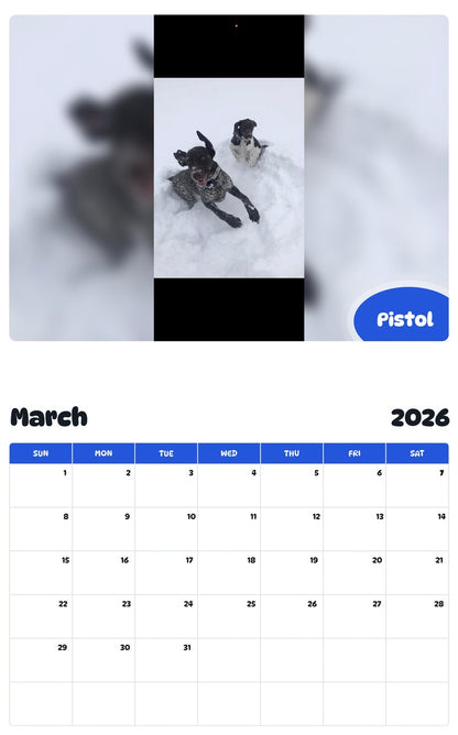 November 2025 - October 2026 Pistol - Pawidols Pet Calendar