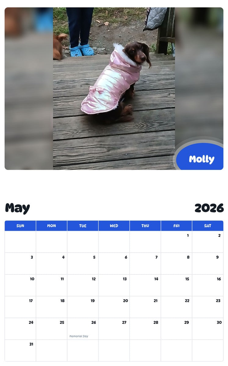 2026 - 2027 Molly - Pawidols Pet Calendar