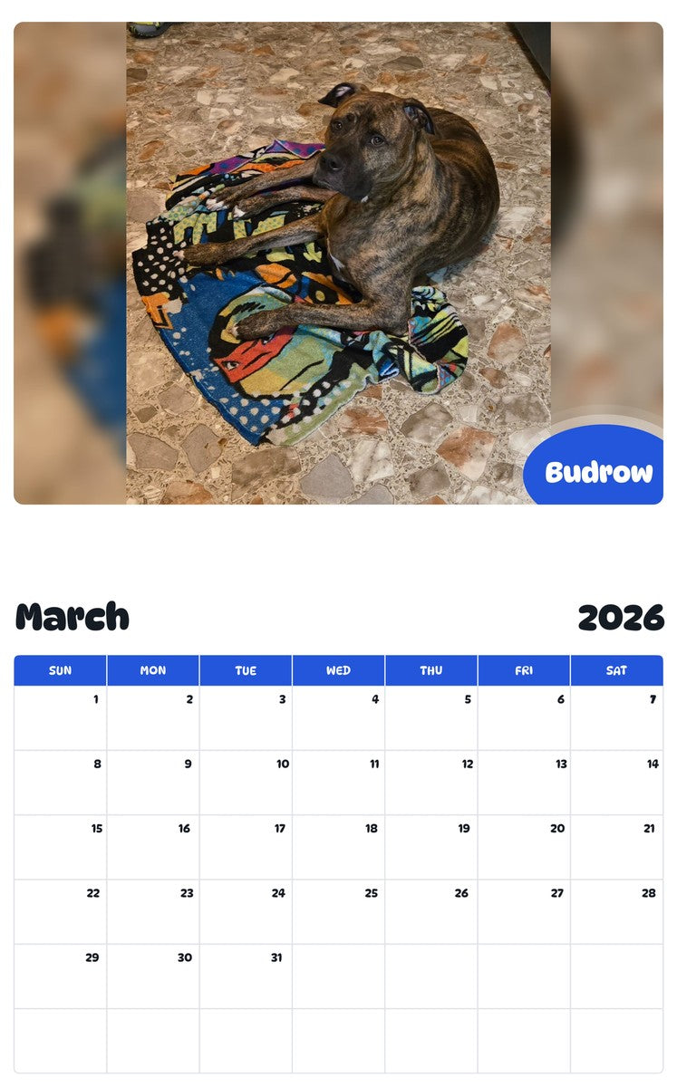 November 2025 - October 2026 Budrow - Pawidols Pet Calendar
