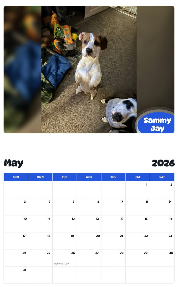 2026 - 2027 Sammy Jay - Pawidols Pet Calendar