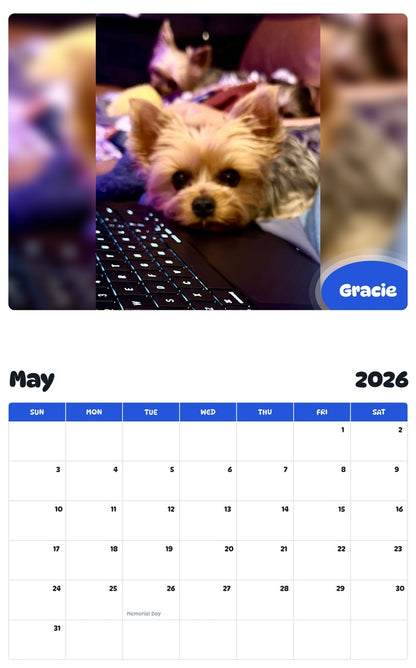 2026 - 2027 Gracie - Pawidols Pet Calendar