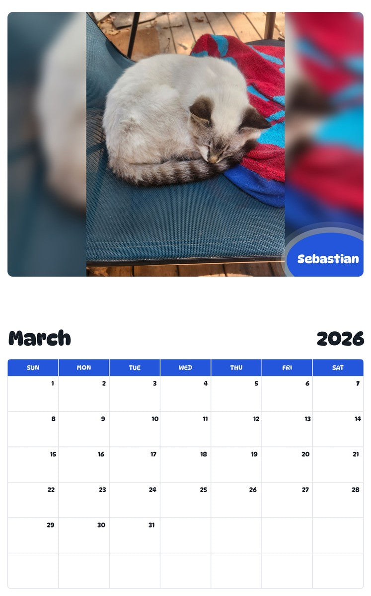 November 2025 - October 2026 Sebastian - Pawidols Pet Calendar