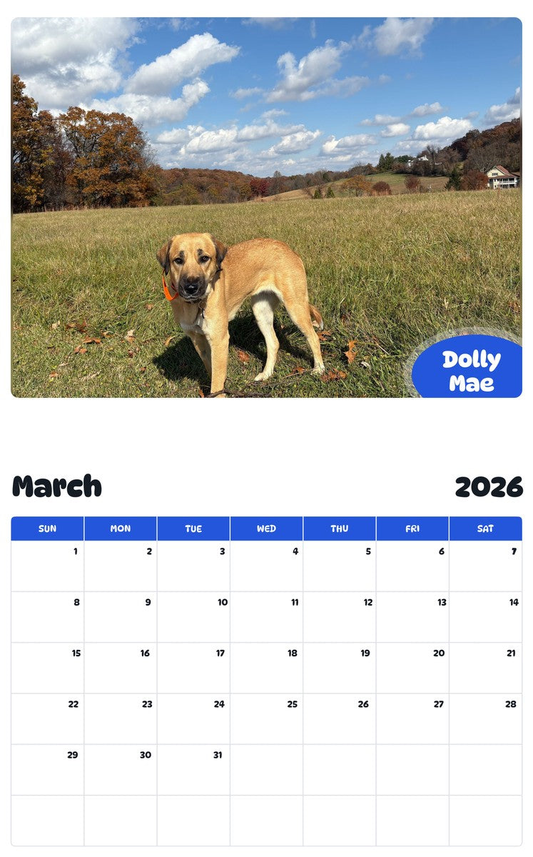 November 2025 - October 2026 Dolly Mae - Pawidols Pet Calendar