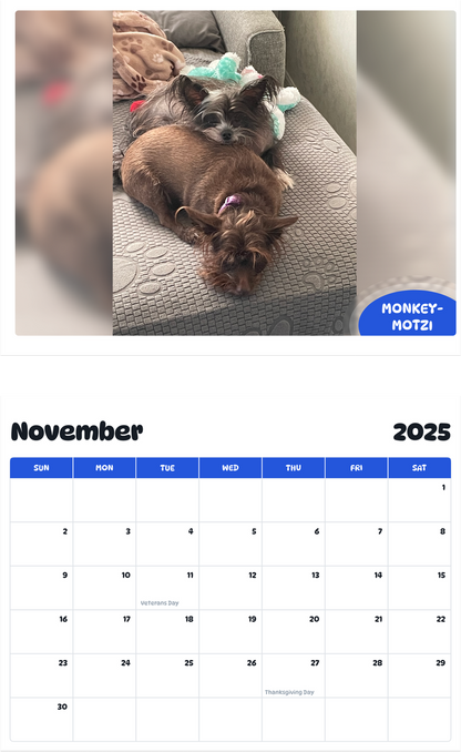 July 2025 - June 2026 Monkey-Motzi - Pawidols Pet Calendar