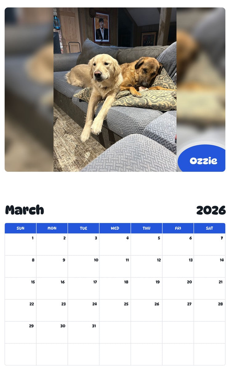 November 2025 - October 2026 Ozzie - Pawidols Pet Calendar