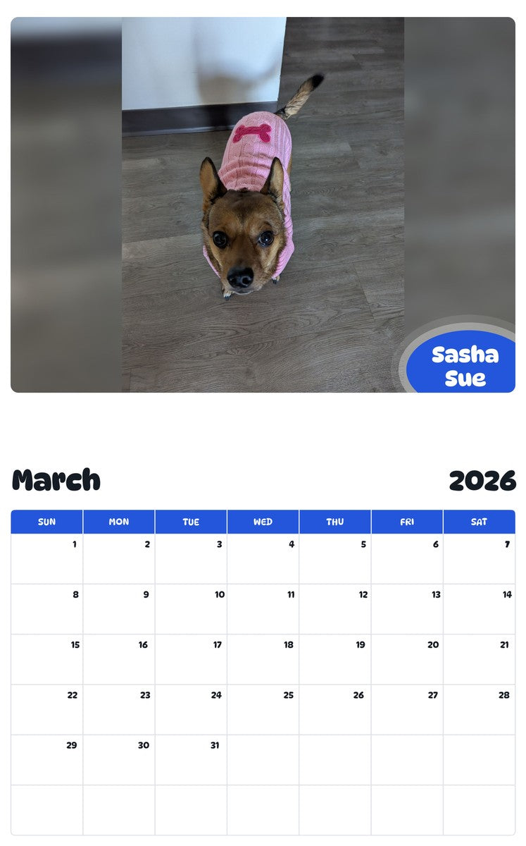 November 2025 - October 2026 Sasha Sue - Pawidols Pet Calendar