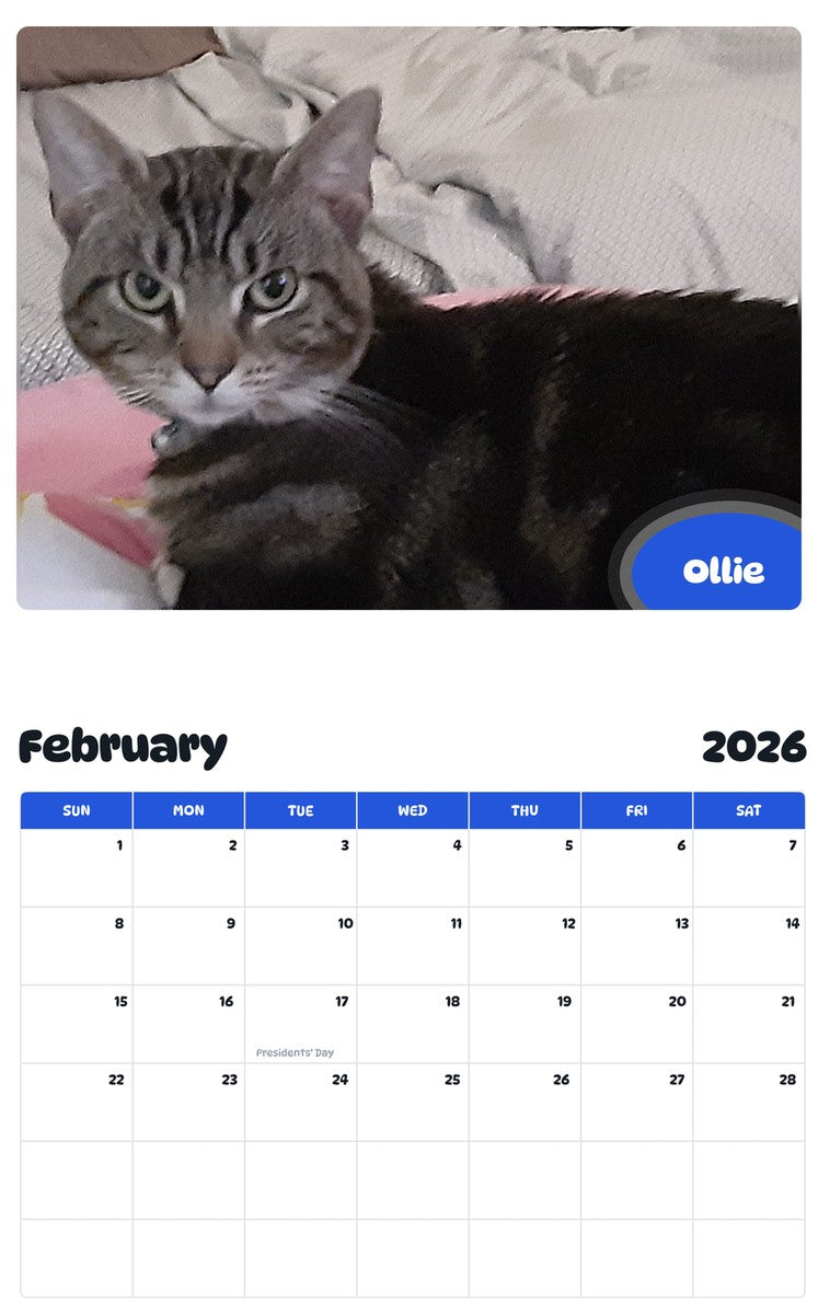 October 2025 - September 2026 Ollie - Pawidols Pet Calendar