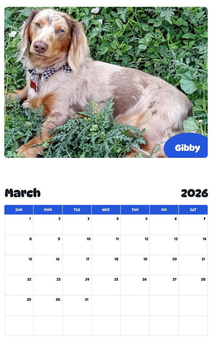 November 2025 - October 2026 Gibby - Pawidols Pet Calendar