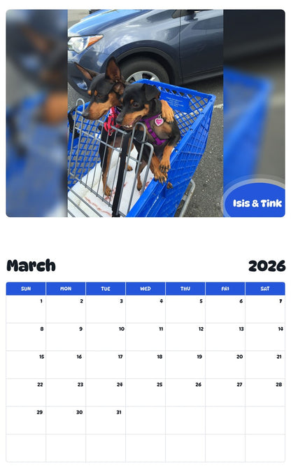 November 2025 - October 2026 Isis & Tink - Pawidols Pet Calendar