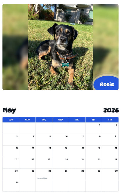 2026 - 2027 Rosie - Pawidols Pet Calendar