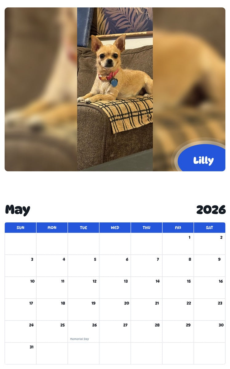 2026 - 2027 Lilly - Pawidols Pet Calendar