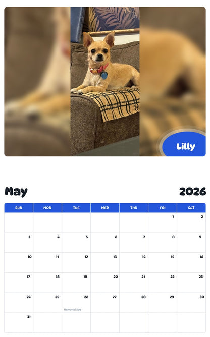 2026 - 2027 Lilly - Pawidols Pet Calendar