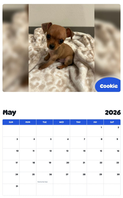 2026 - 2027 Cookie - Pawidols Pet Calendar