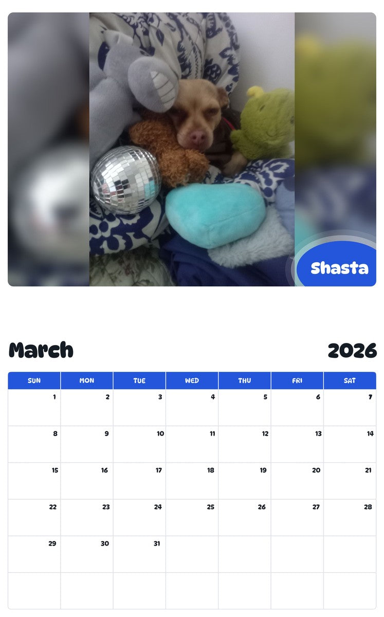 November 2025 - October 2026 Shasta - Pawidols Pet Calendar