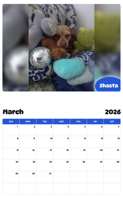 November 2025 - October 2026 Shasta - Pawidols Pet Calendar