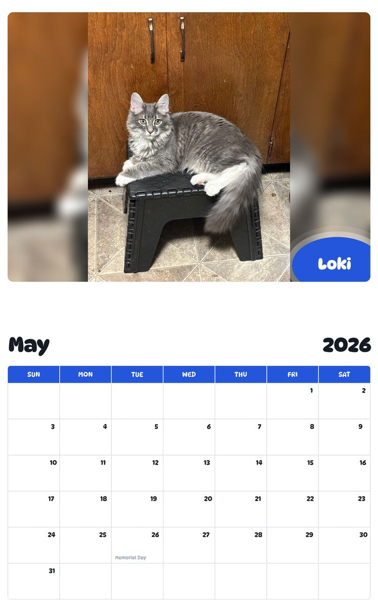 2026 - 2027 Loki - Pawidols Pet Calendar