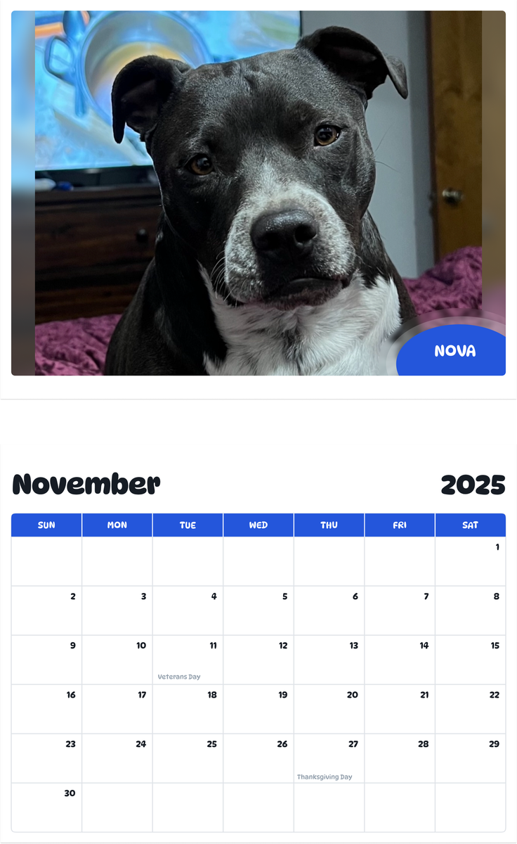 July 2025 - June 2026 Nova - Pawidols Pet Calendar