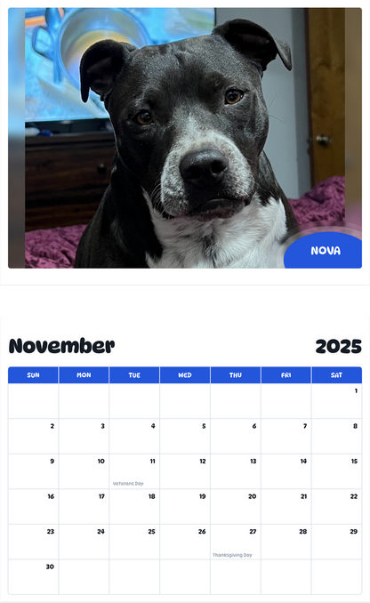 July 2025 - June 2026 Nova - Pawidols Pet Calendar
