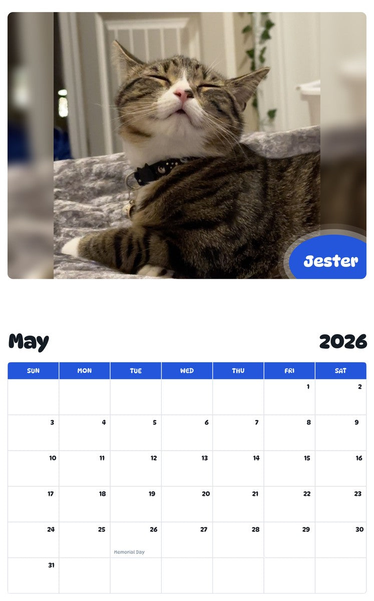2026 - 2027 Jester - Pawidols Pet Calendar