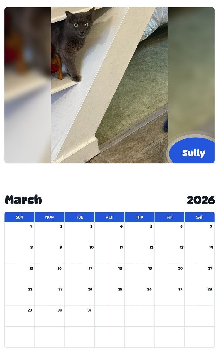 November 2025 - October 2026 Sully - Pawidols Pet Calendar