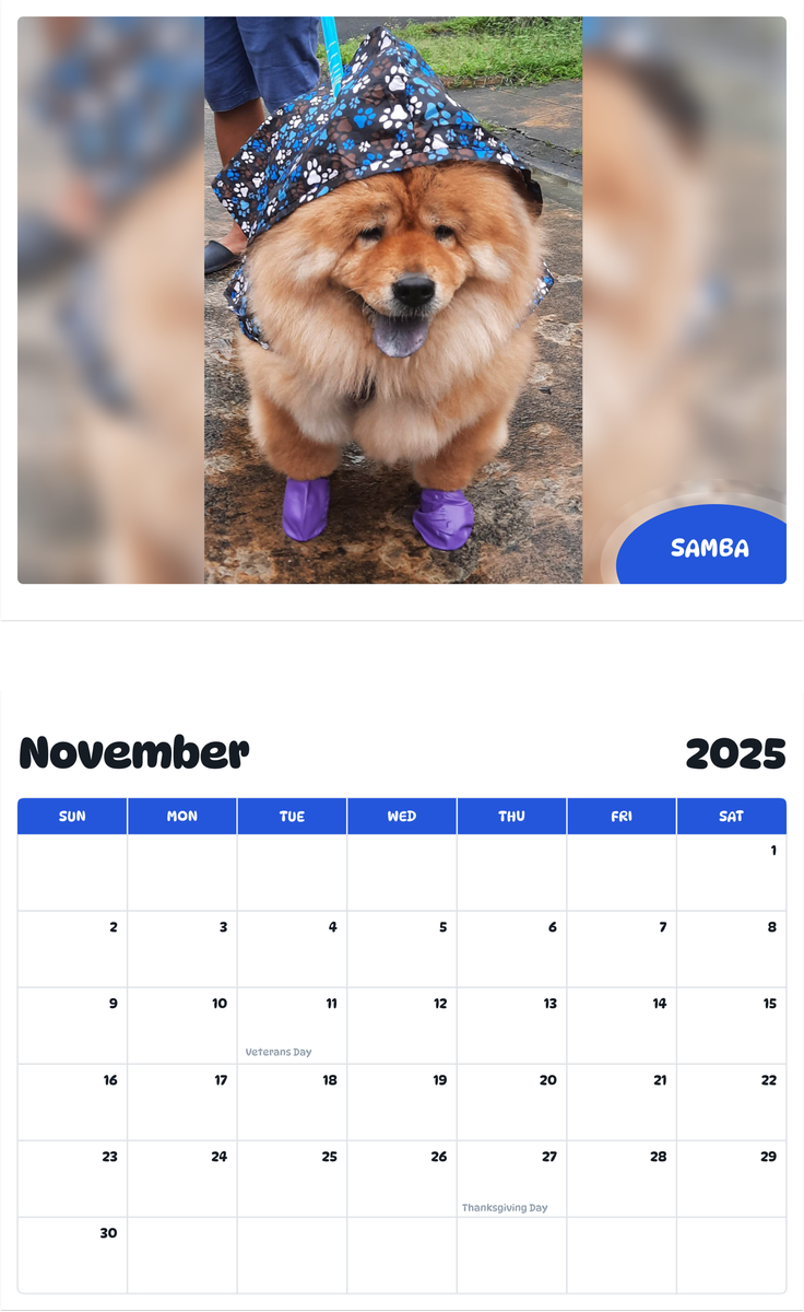 July 2025 - June 2026 Samba - Pawidols Pet Calendar