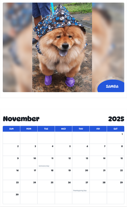 July 2025 - June 2026 Samba - Pawidols Pet Calendar