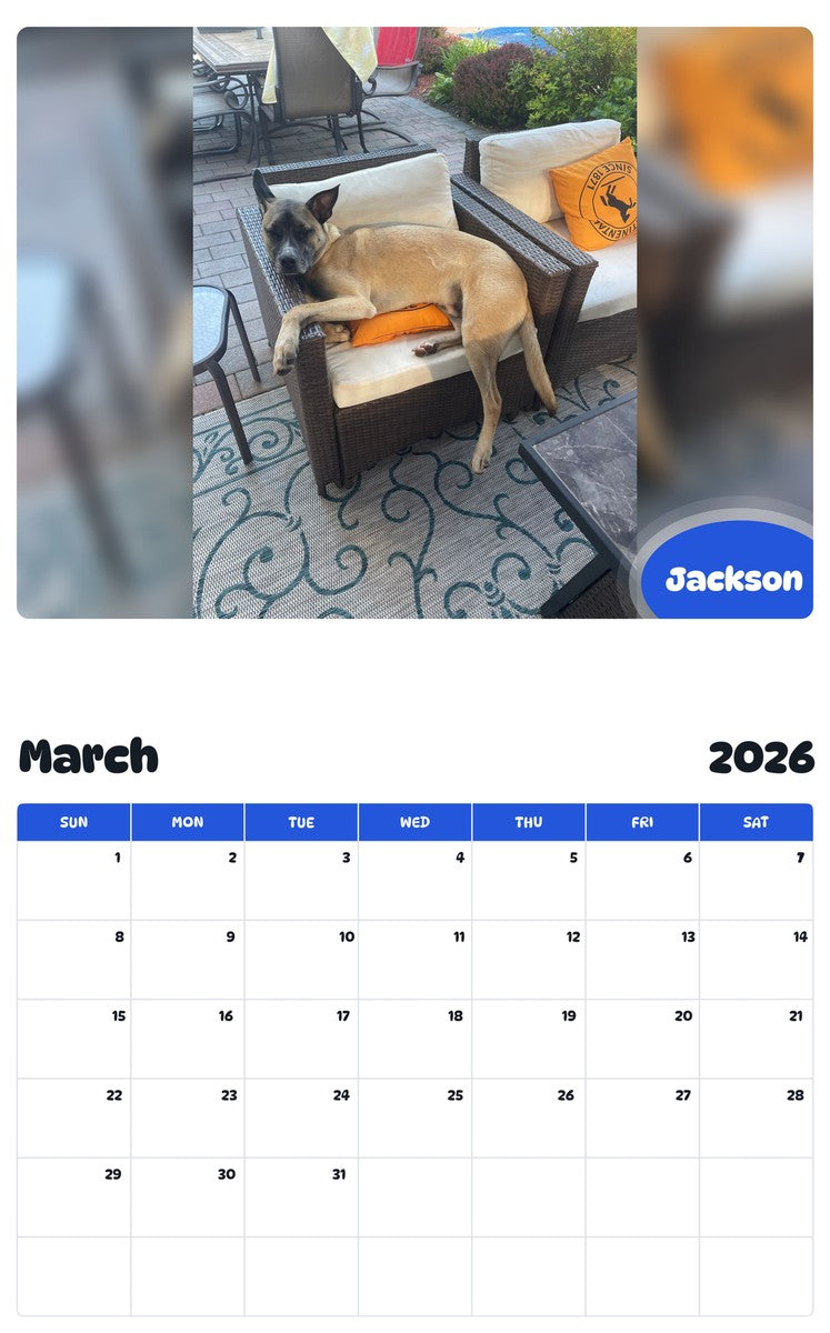 November 2025 - October 2026 Jackson - Pawidols Pet Calendar