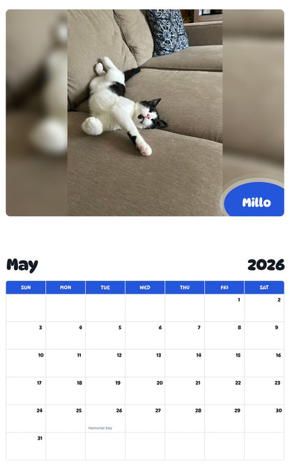 2026 - 2027 Millo - Pawidols Pet Calendar