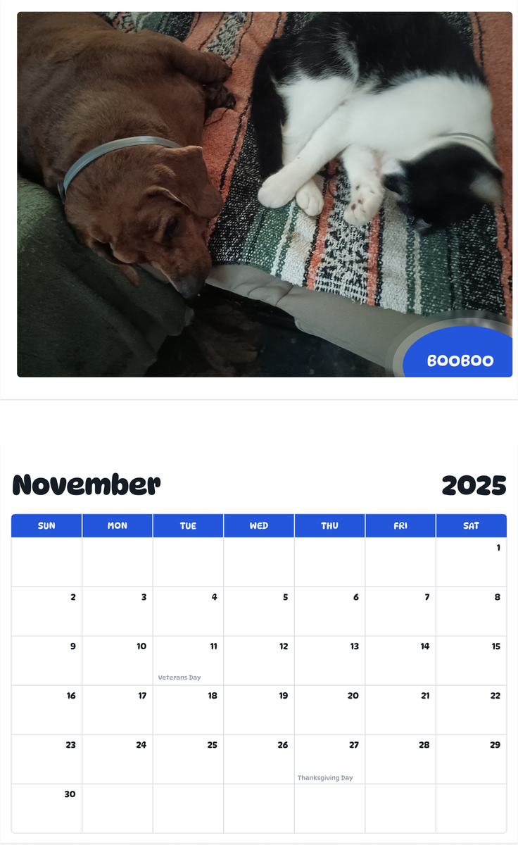 July 2025 - June 2026 Booboo - Pawidols Pet Calendar