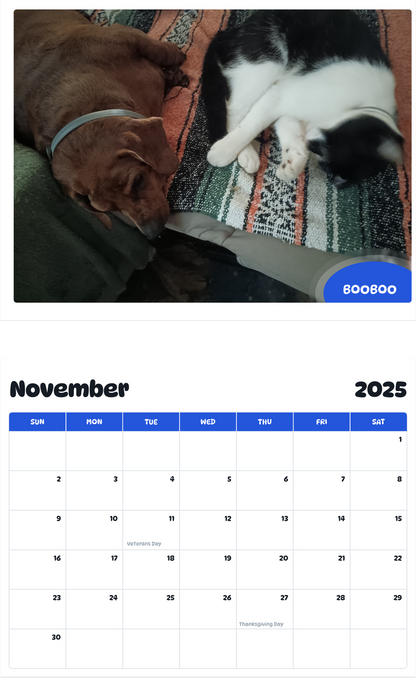 July 2025 - June 2026 Booboo - Pawidols Pet Calendar