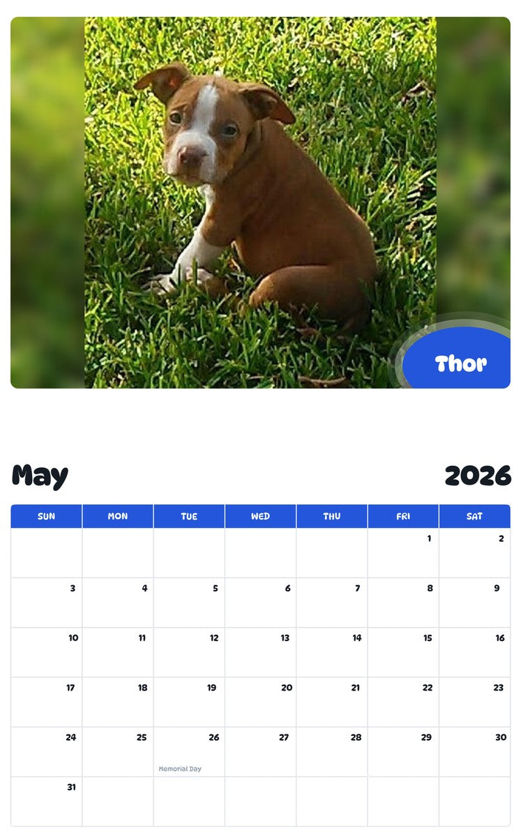 2026 - 2027 Thor - Pawidols Pet Calendar