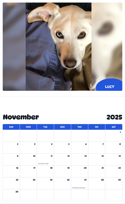 July 2025 - June 2026 Lucy - Pawidols Pet Calendar