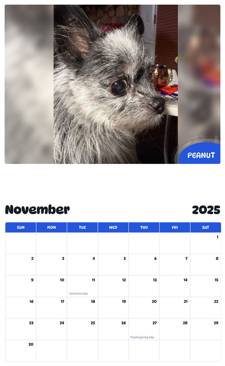 July 2025 - June 2026 Peanut - Pawidols Pet Calendar