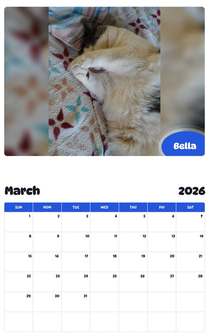 November 2025 - October 2026 Bella - Pawidols Pet Calendar