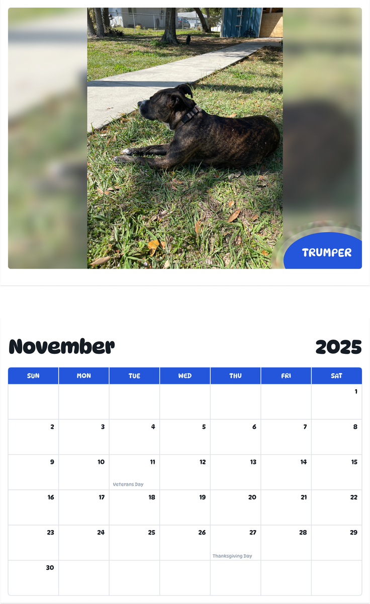 July 2025 - June 2026 Trumper - Pawidols Pet Calendar
