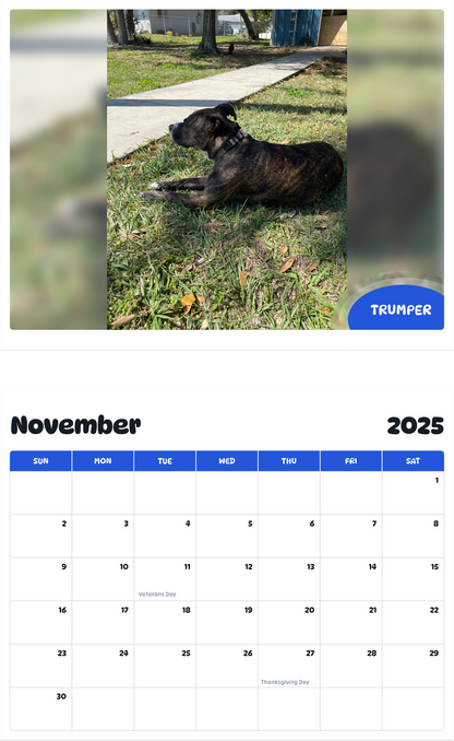 July 2025 - June 2026 Trumper - Pawidols Pet Calendar