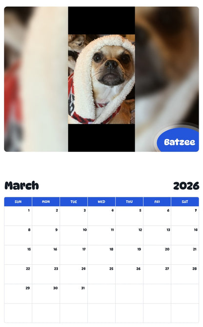 November 2025 - October 2026 Batzee - Pawidols Pet Calendar