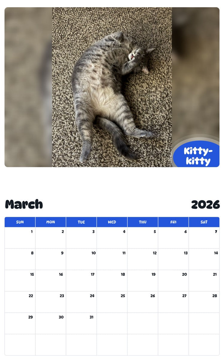 November 2025 - October 2026 Kitty-kitty - Pawidols Pet Calendar