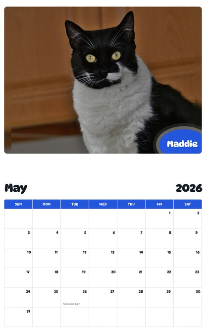2026 - 2027 Maddie - Pawidols Pet Calendar
