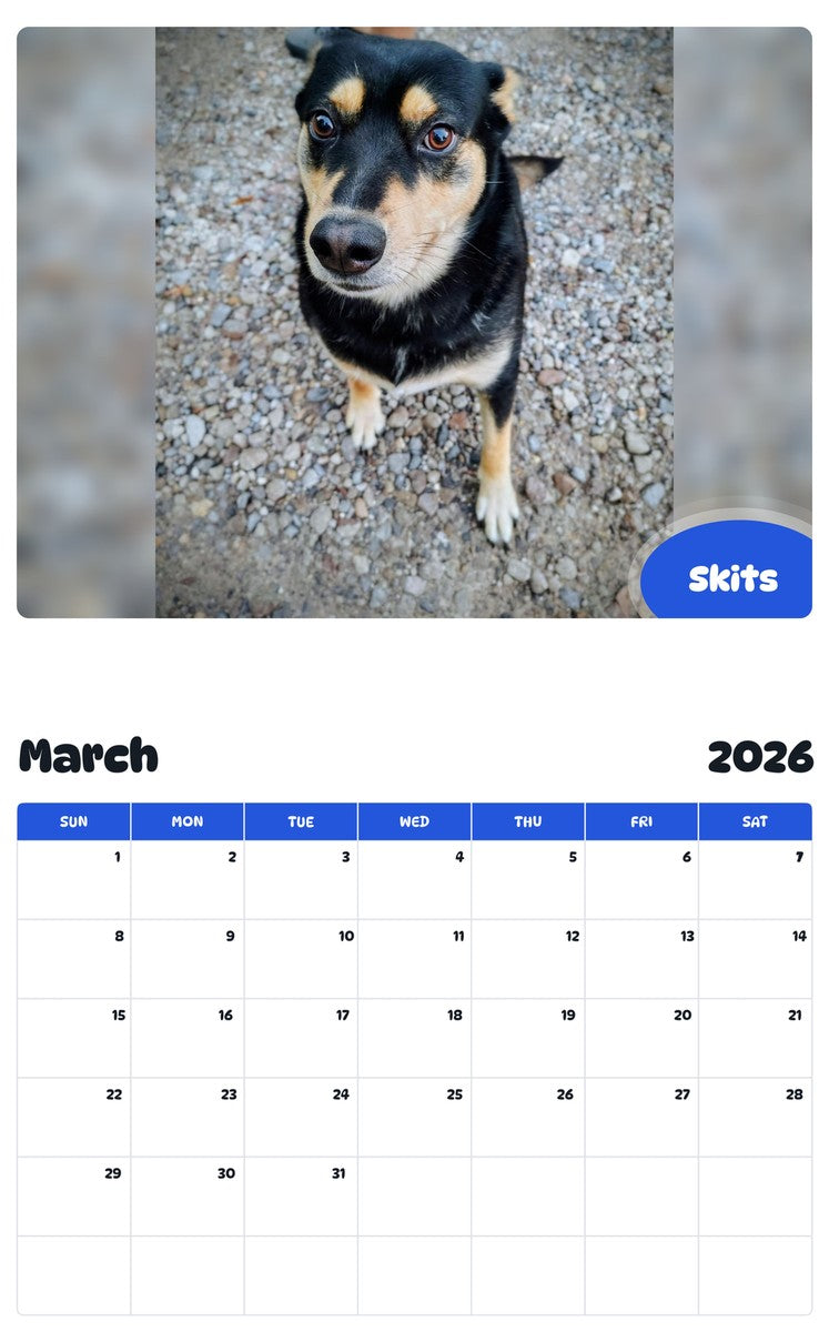 November 2025 - October 2026 Skits - Pawidols Pet Calendar