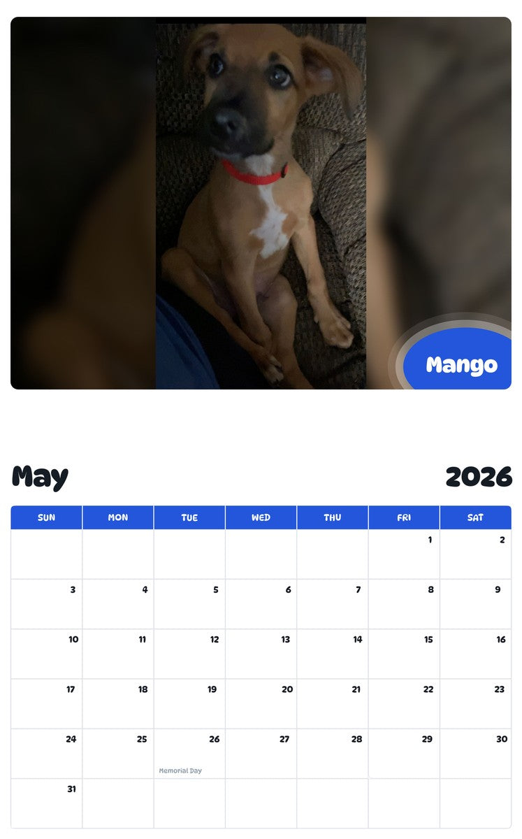 2026 - 2027 Mango - Pawidols Pet Calendar