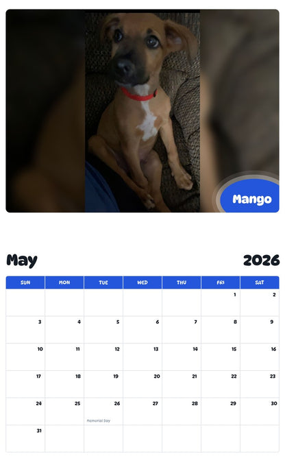 2026 - 2027 Mango - Pawidols Pet Calendar