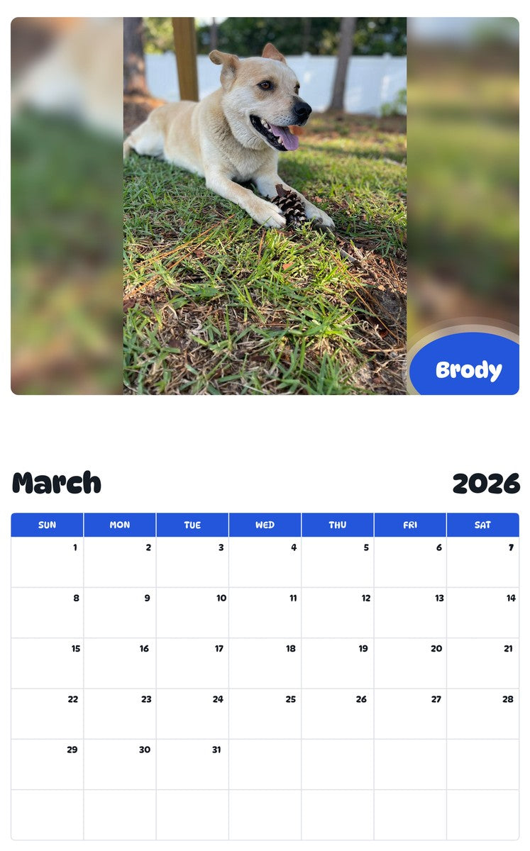 November 2025 - October 2026 Brody - Pawidols Pet Calendar