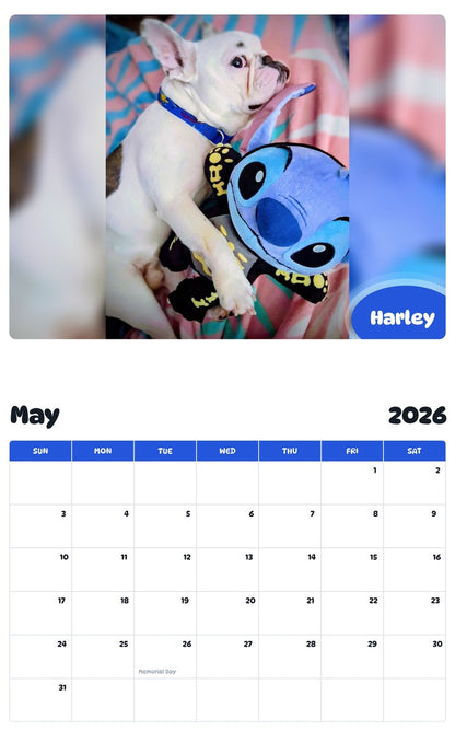 2026 - 2027 Harley - Pawidols Pet Calendar