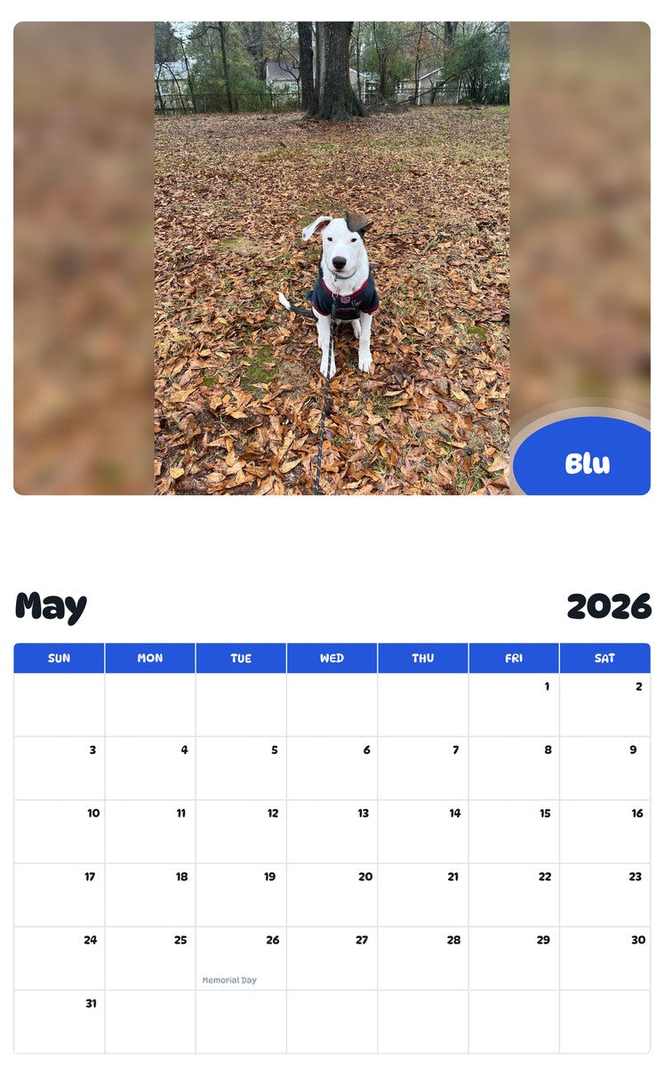 2026 - 2027 Blu - Pawidols Pet Calendar