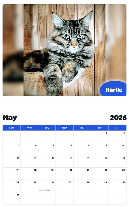 2026 - 2027 Harlie - Pawidols Pet Calendar